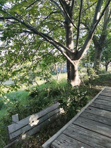 Yorum fotoğrafı 6