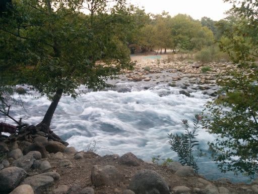 Fotoğraf 15