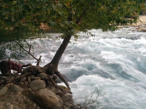 Fotoğraf 17