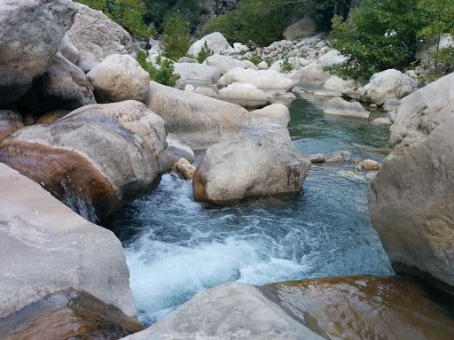 Fotoğraf 19