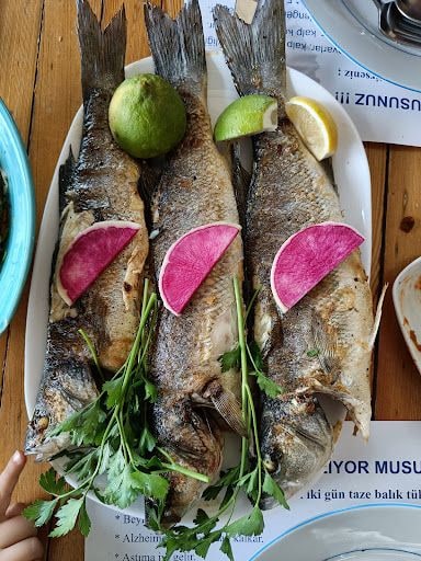 Yorum fotoğrafı 5