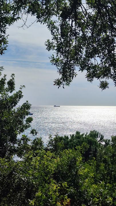 Fotoğraf 34