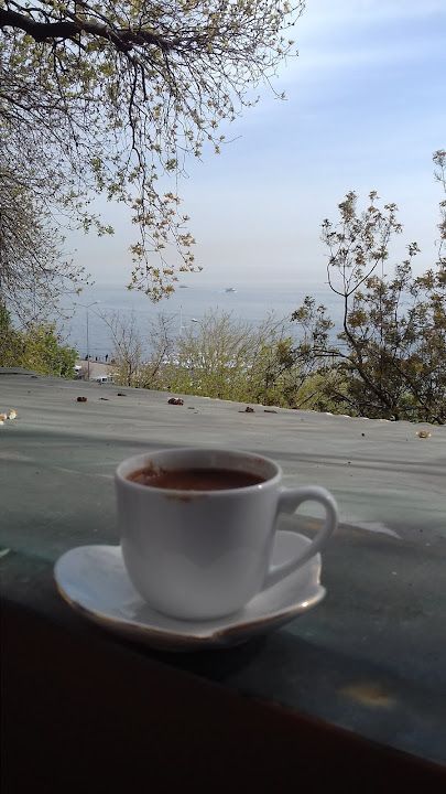 Fotoğraf 38