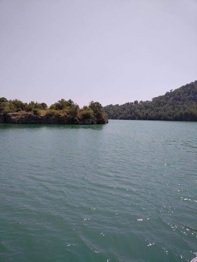 Yorum fotoğrafı 6
