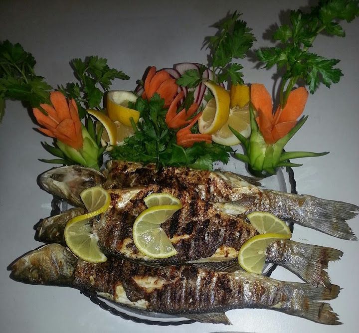 Fotoğraf 15