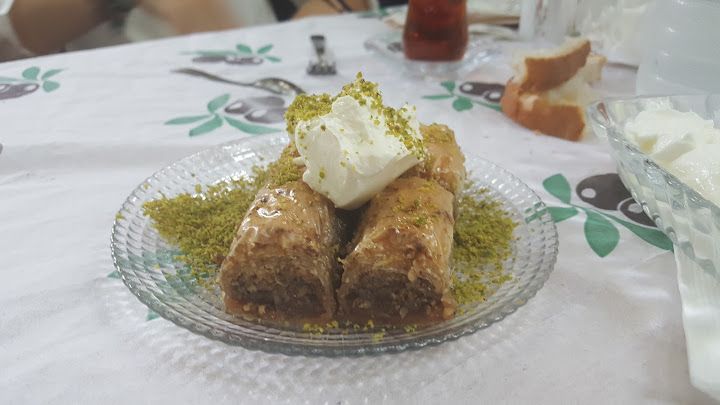 Fotoğraf 28