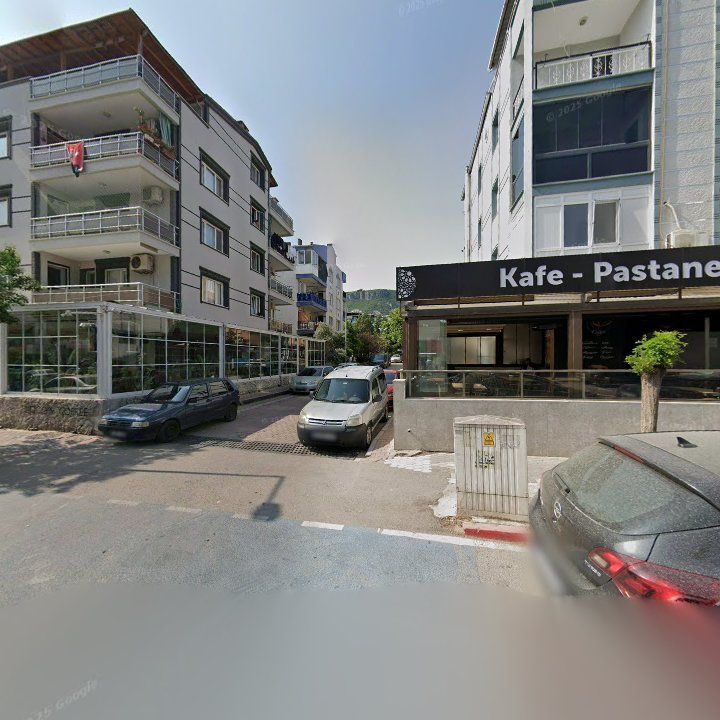 Fotoğraf 8