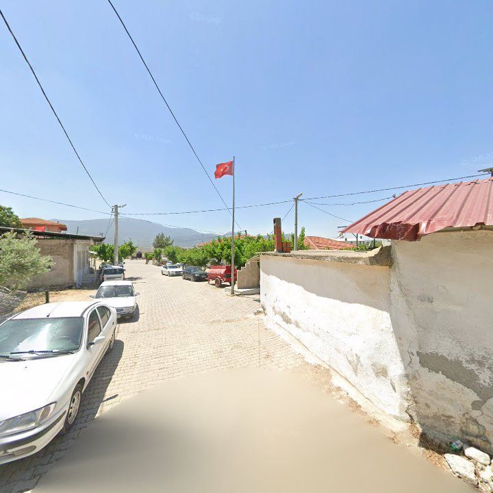 Fotoğraf 8