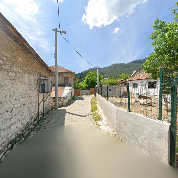 Fotoğraf 7