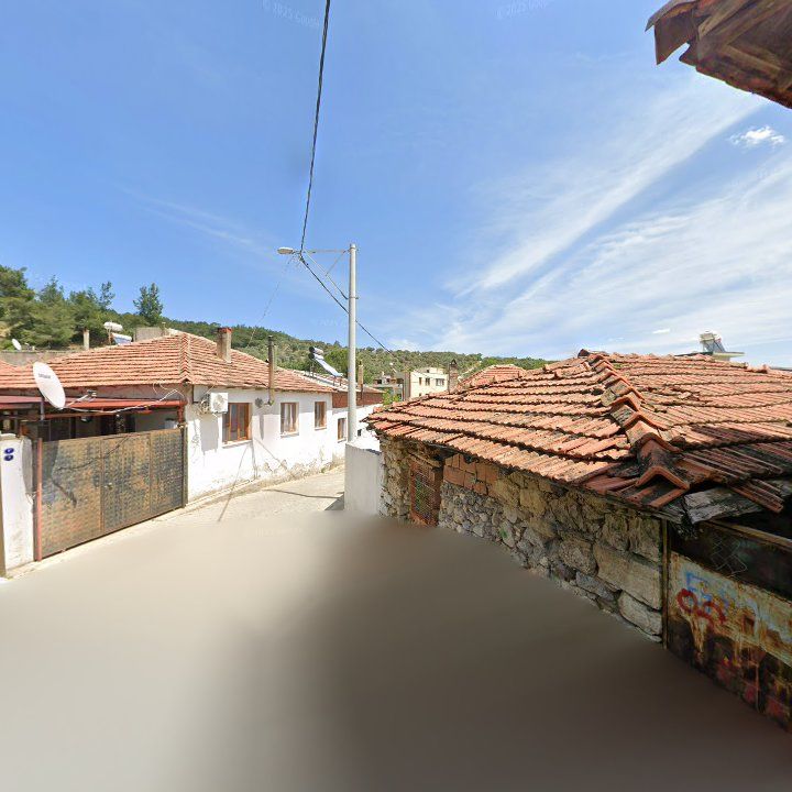 Fotoğraf 9