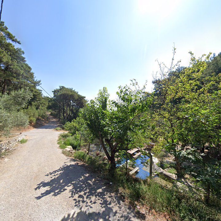 Fotoğraf 9