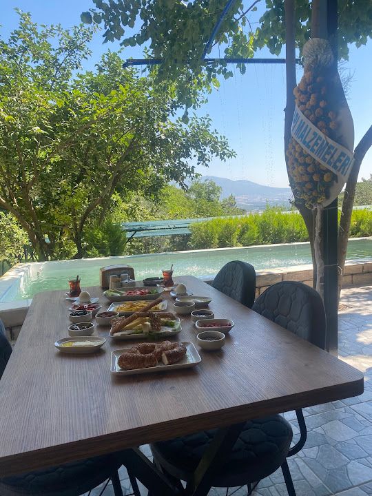 Ayışığı