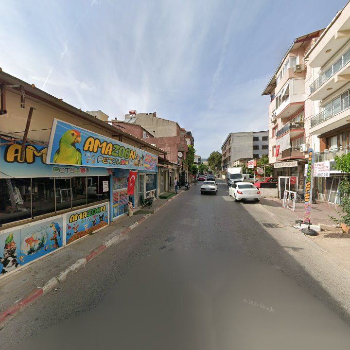 Fotoğraf 10