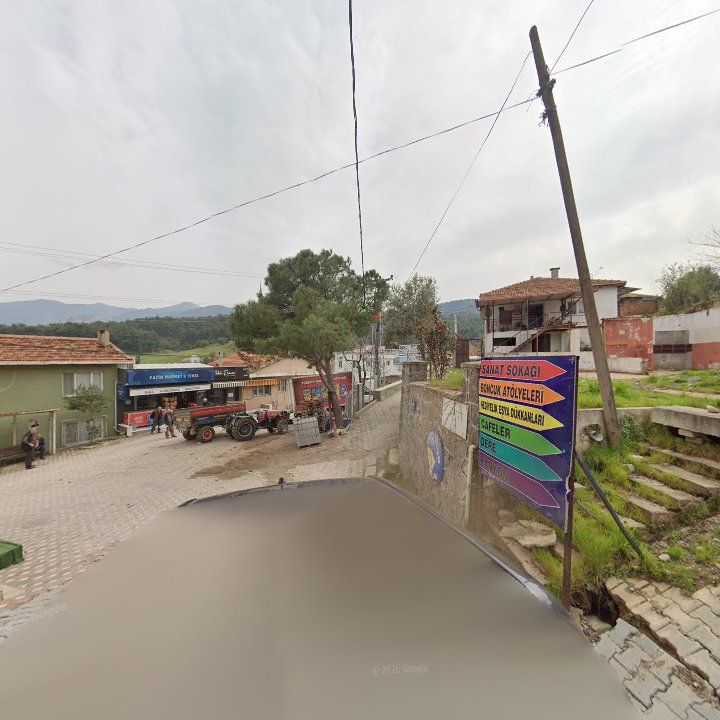 Fotoğraf 6