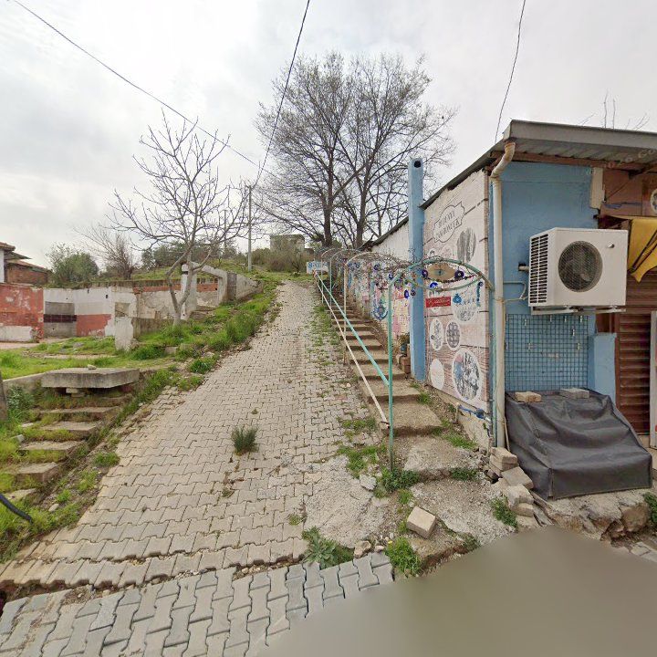 Fotoğraf 7