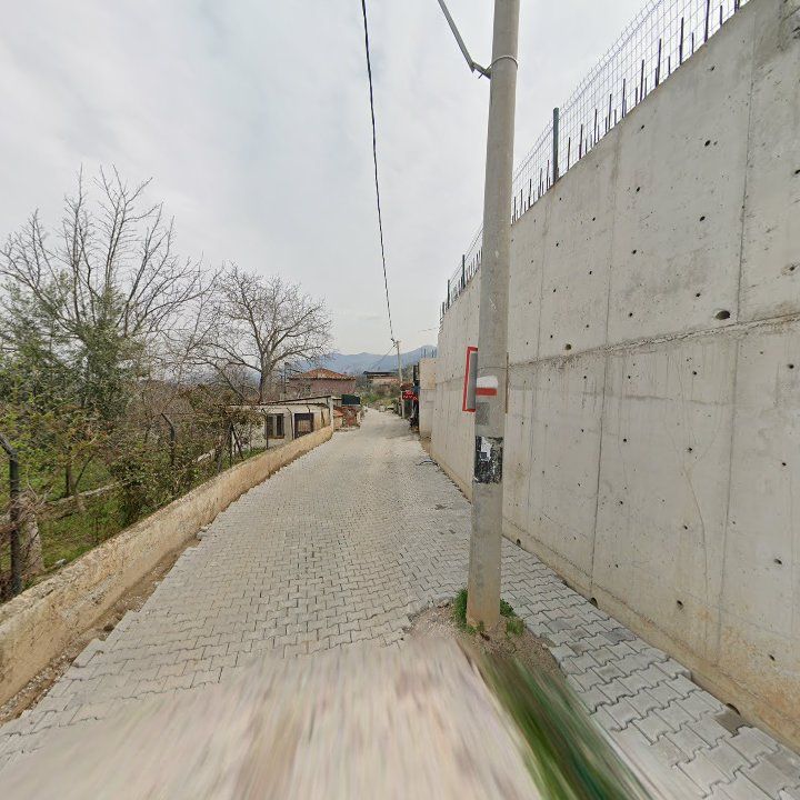 Fotoğraf 9