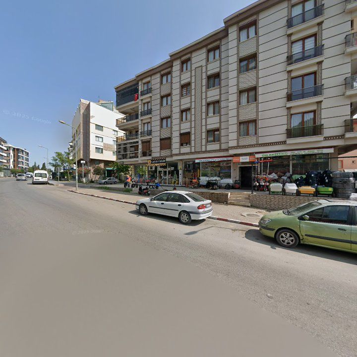 Fotoğraf 8