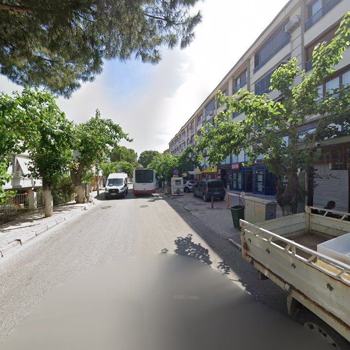 Fotoğraf 11