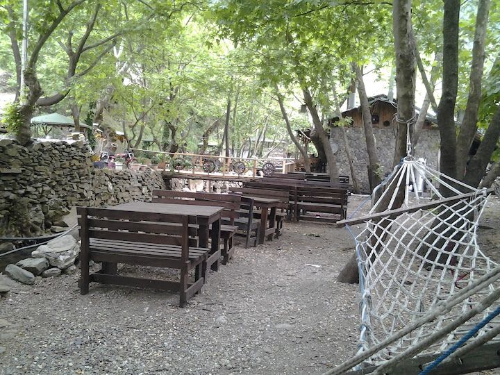 Çam Evleri