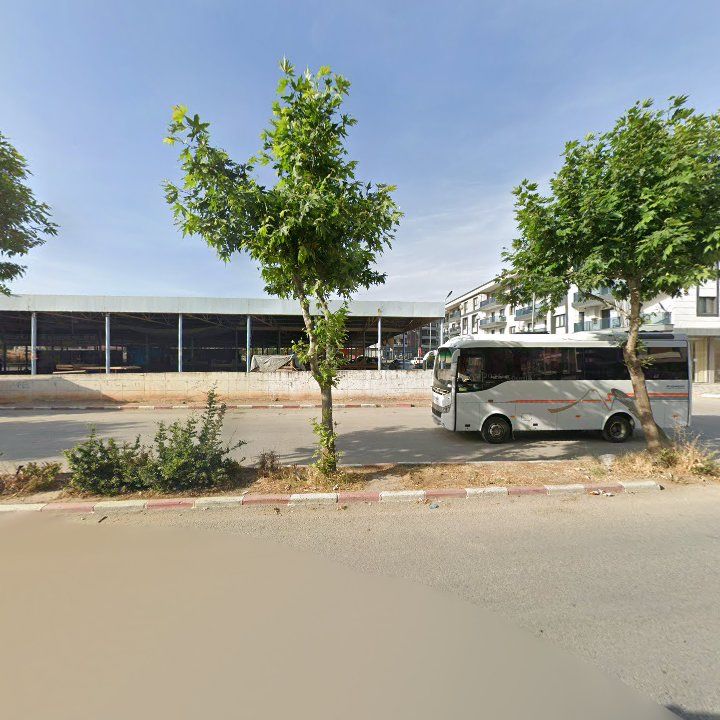 Fotoğraf 8