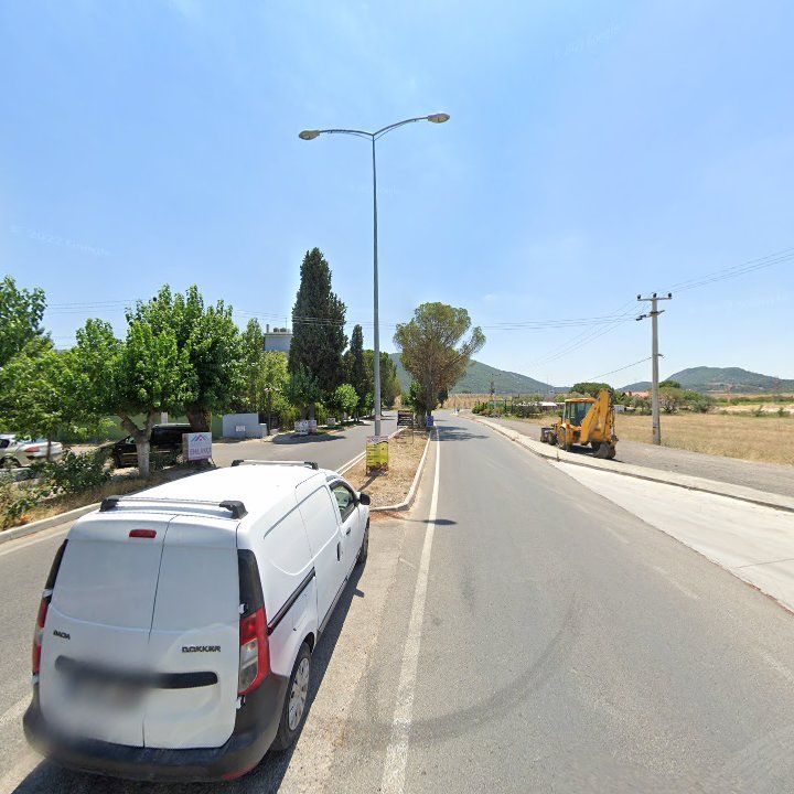 Fotoğraf 8