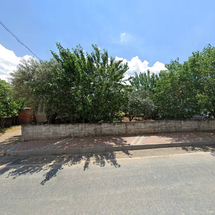 Fotoğraf 10
