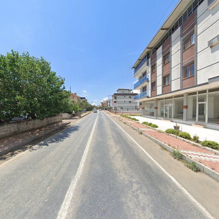 Fotoğraf 11