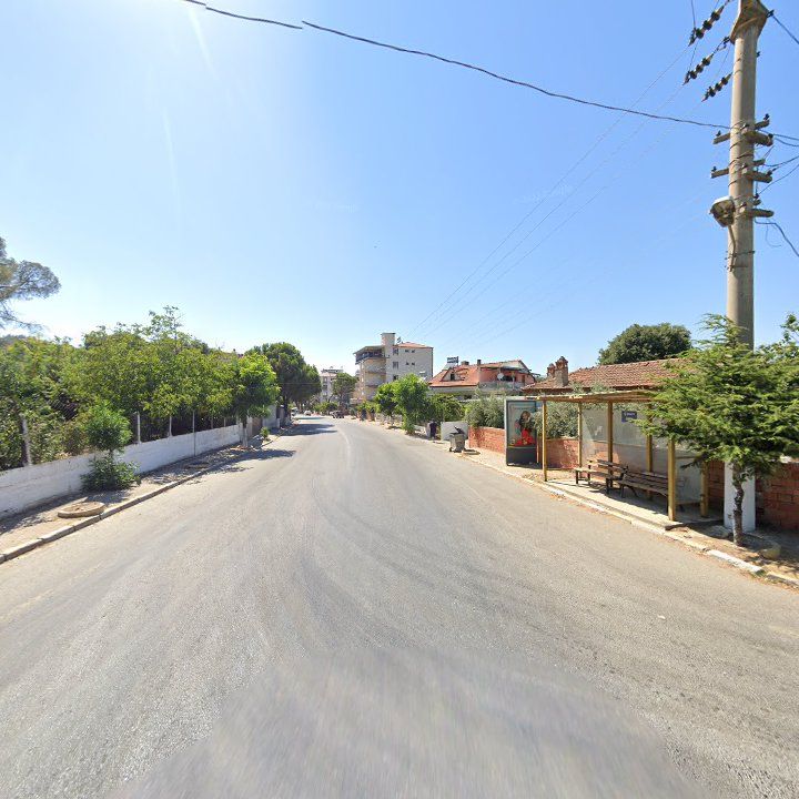 Fotoğraf 3