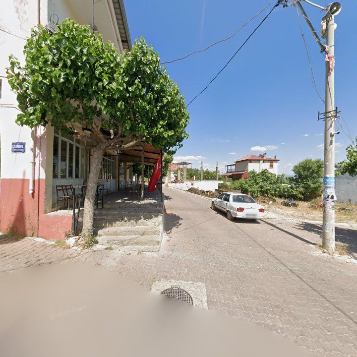 Fotoğraf 9