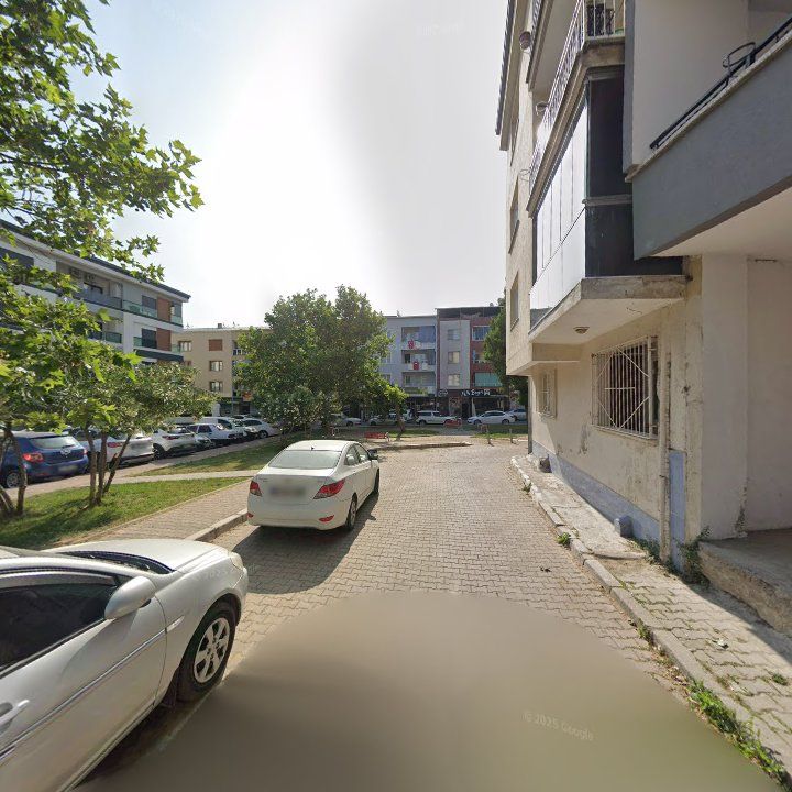 Fotoğraf 10