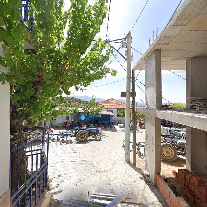 Fotoğraf 8