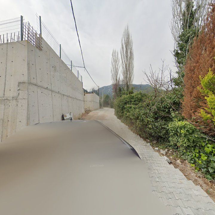 Fotoğraf 6