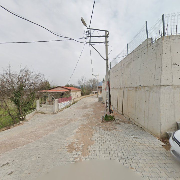 Fotoğraf 8