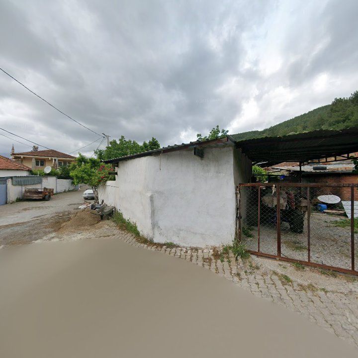 Fotoğraf 7