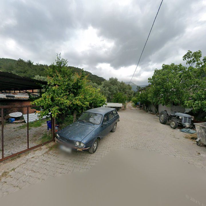 Fotoğraf 8