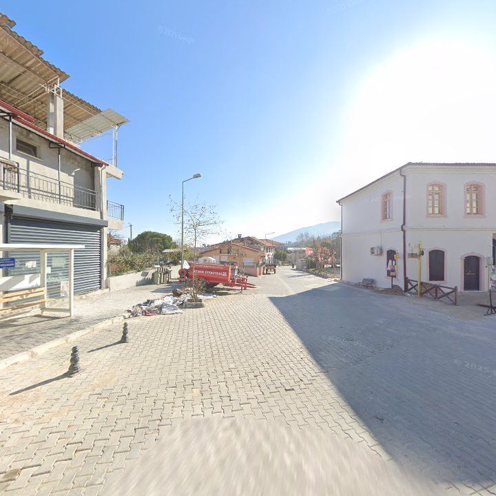 Fotoğraf 8