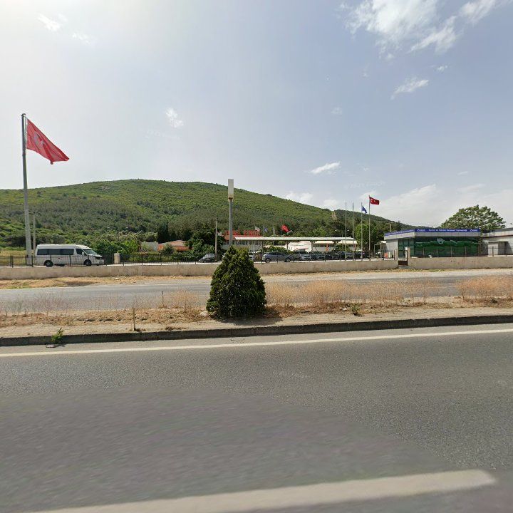 Fotoğraf 7