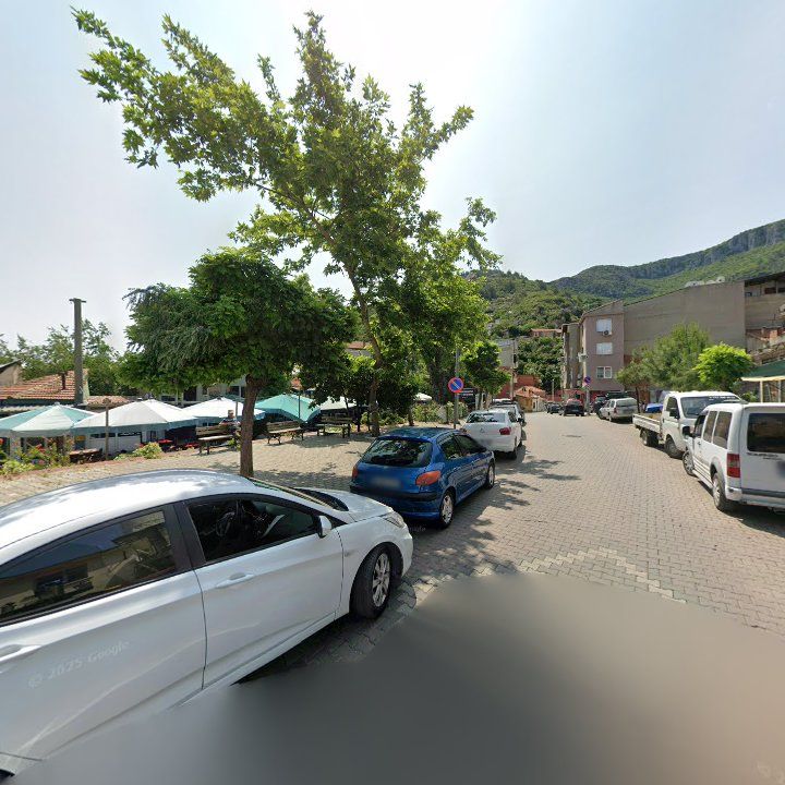 Fotoğraf 10