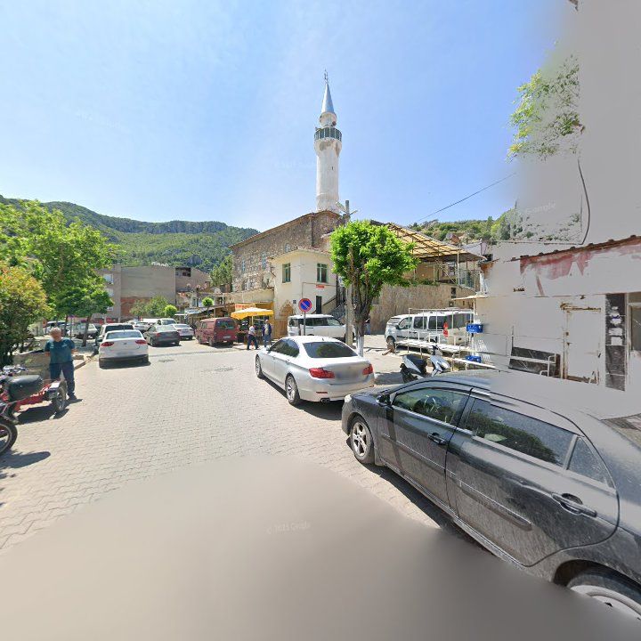 Fotoğraf 8