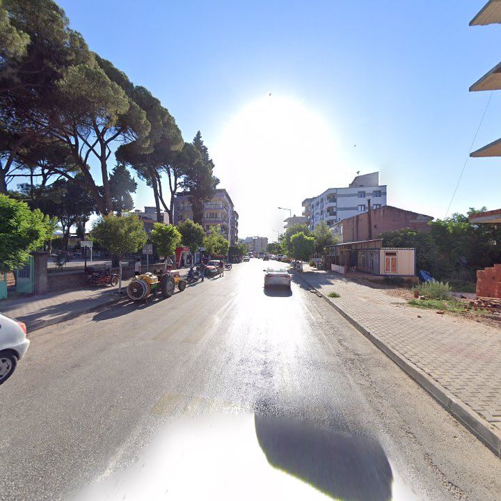 Fotoğraf 7