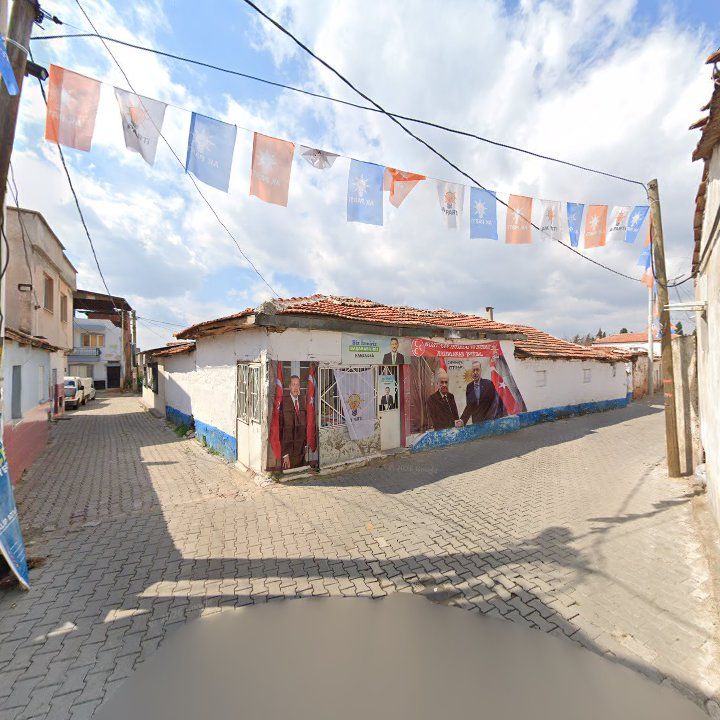 Fotoğraf 3