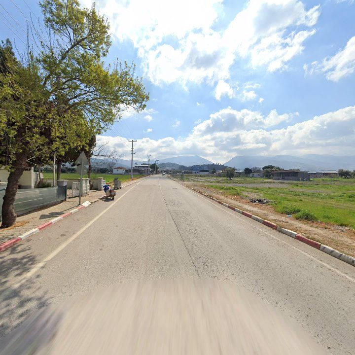 Fotoğraf 5