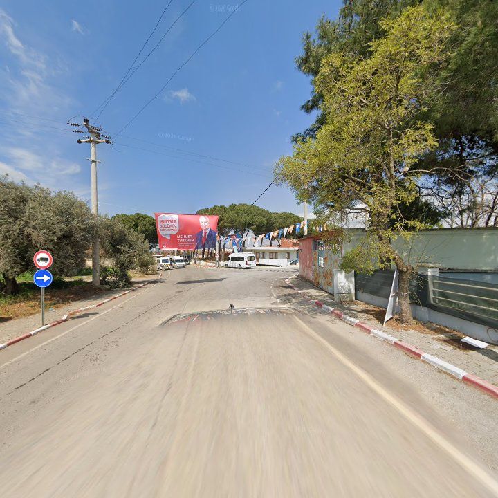 Fotoğraf 7