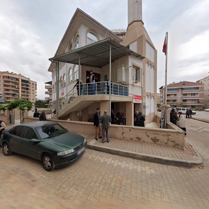 Fotoğraf 7