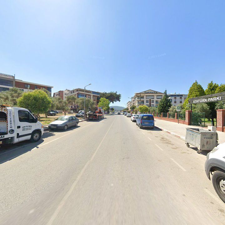 Fotoğraf 7