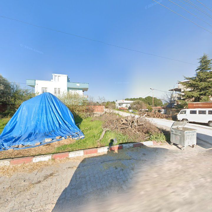 Fotoğraf 6