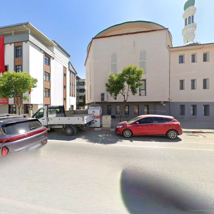 Fotoğraf 9