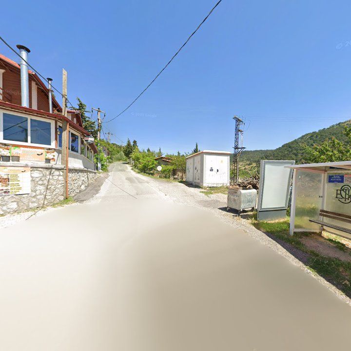 Fotoğraf 9