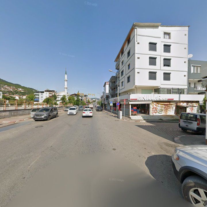 Fotoğraf 7
