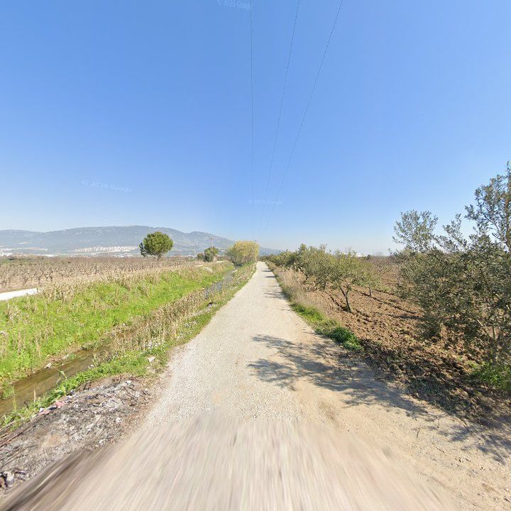 Fotoğraf 8